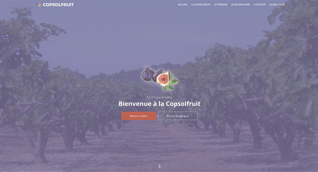 Copsolfruit